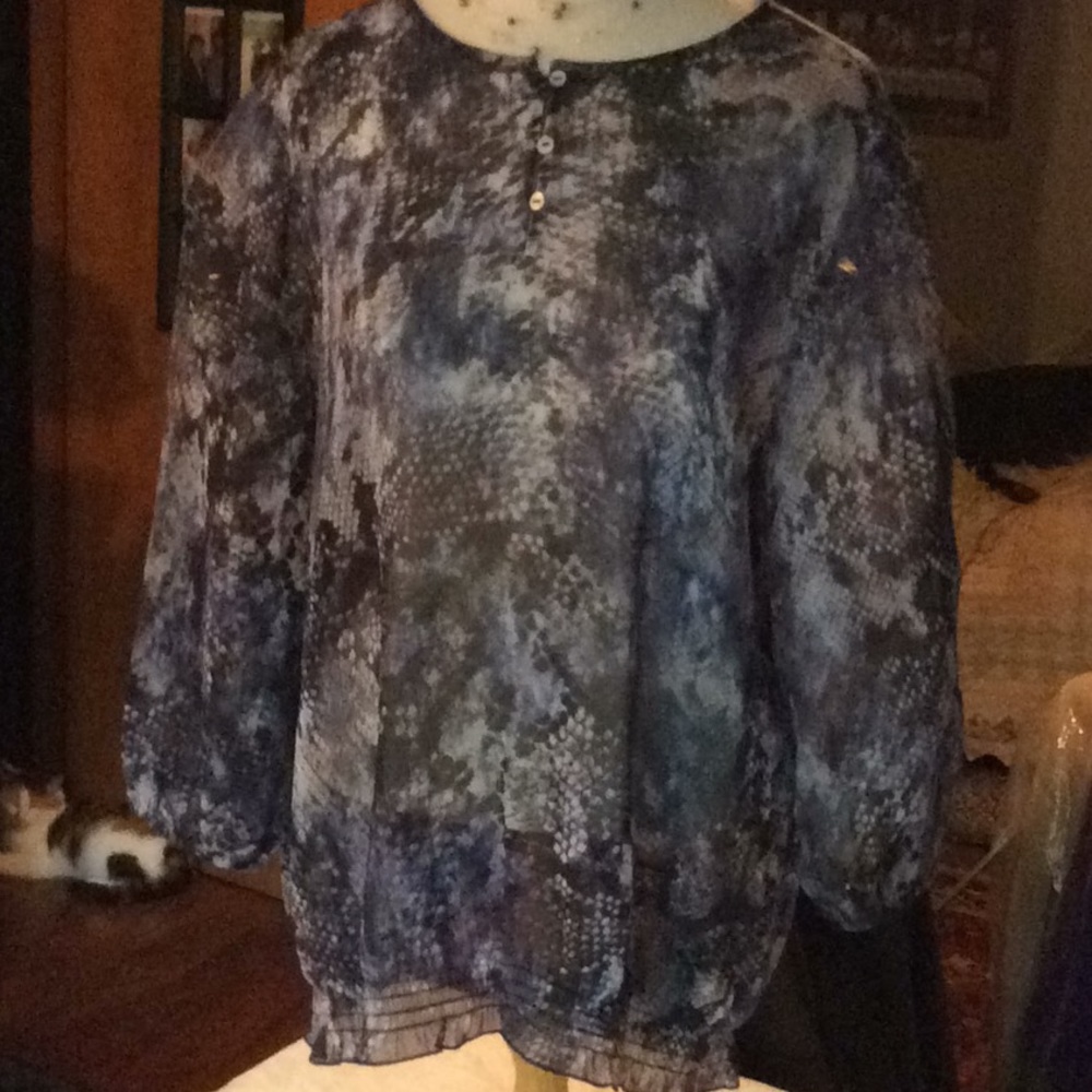 Chico’s Sheer Multi Color Blouse